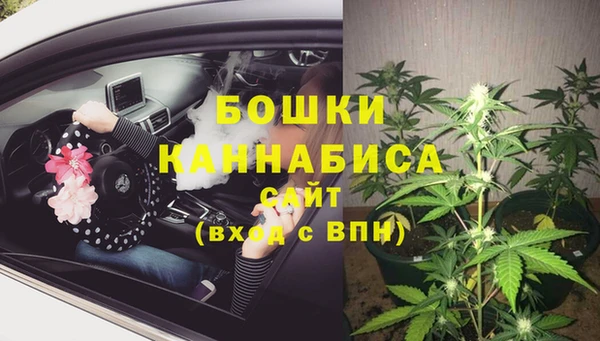 амф Зерноград