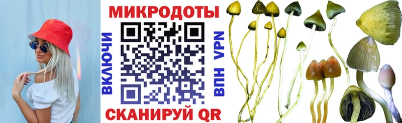 где купить   Джанкой  Псилоцибиновые грибы Psilocybe 
